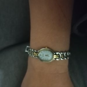 Citizen Gold and silver tone citwatch collection